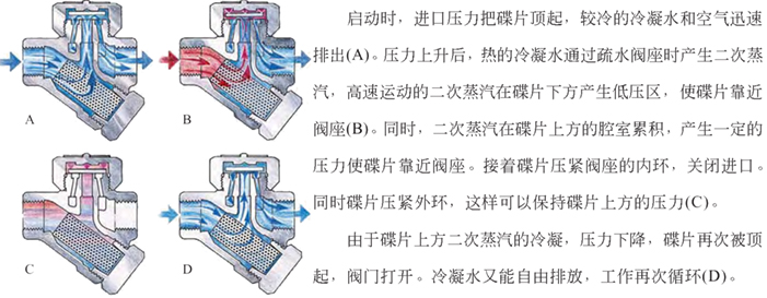 进口热动力疏水阀系统2.jpg